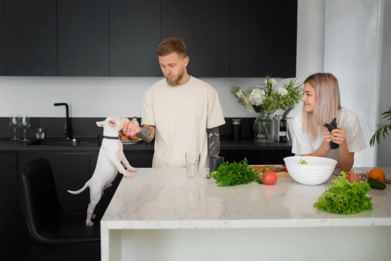 corian kitchen top​